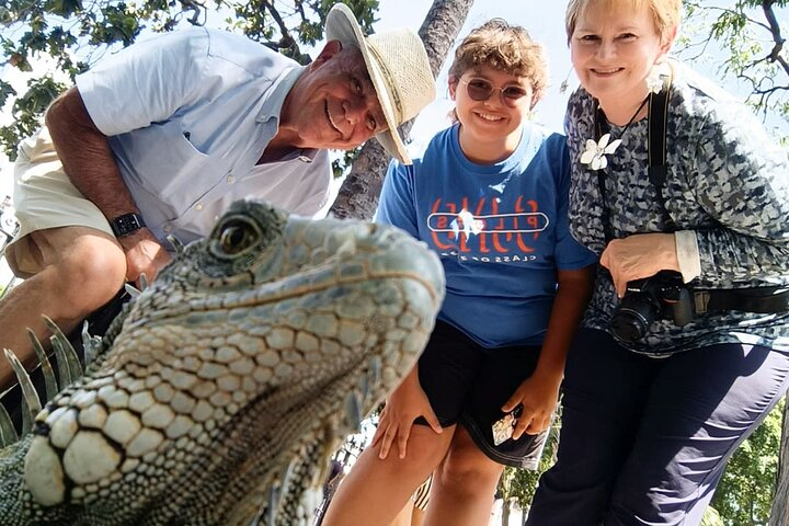 Private city tour in Guayaquil - Iguana Park