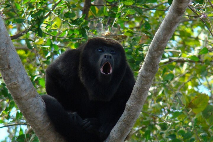 Private Tour from Guayaquil to Churute Ecological Reserve  - Photo 1 of 9