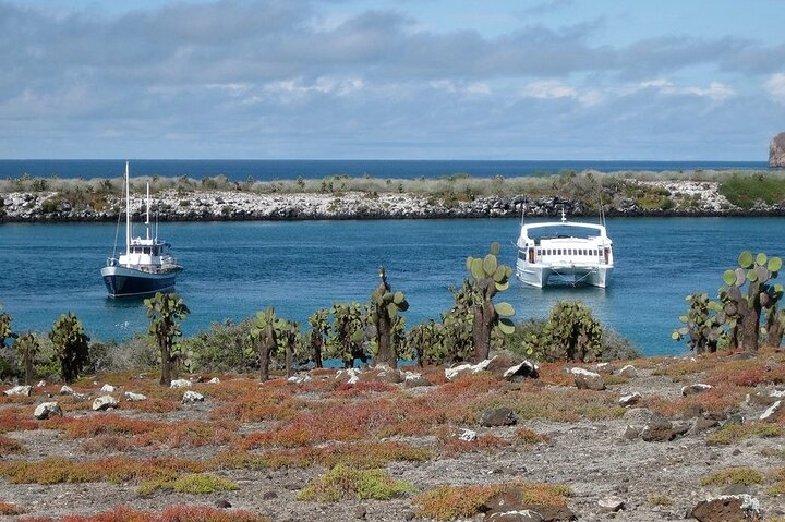 South Plazas and Punta Carrion Day Tour:Land Iguanas & Snorkeling - Photo 1 of 6