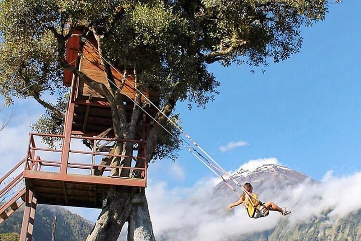 The Tree House Swing of the End of the World - Photo 1 of 13