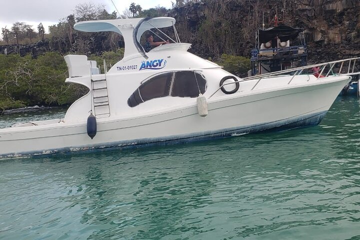 Transfer from Isabela Island to Santa Cruz Island - Photo 1 of 10