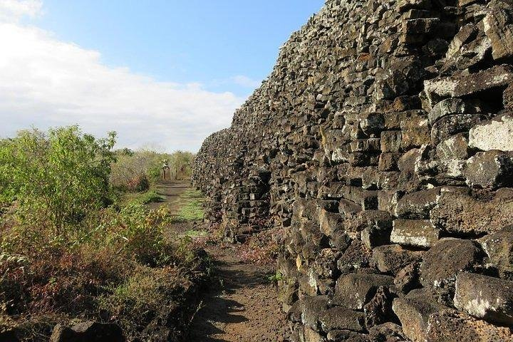 Wetlands Tour with Wall of Tears from Isabela Island - Photo 1 of 13