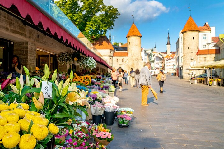 Best of Tallinn Private Tour - Photo 1 of 8