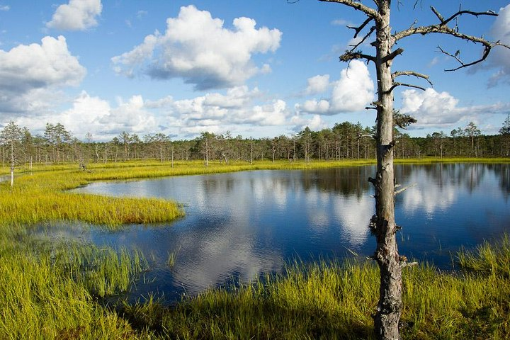 Viru bog in Lahemaa National Park