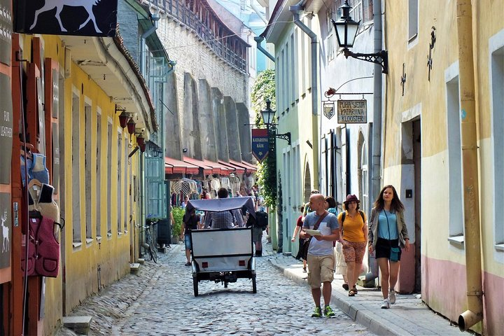 Private Shore Excursion: Tallinn Old Town Walking Tour 