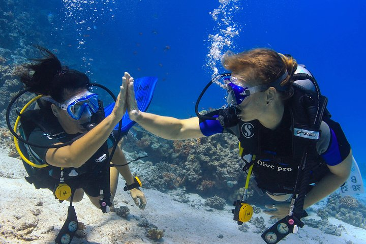 happy divers