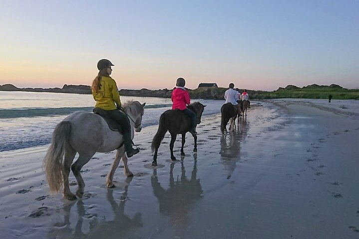 2 Hour Private Horseback Riding & Beach Excursion in Marsa Alam  - Photo 1 of 3