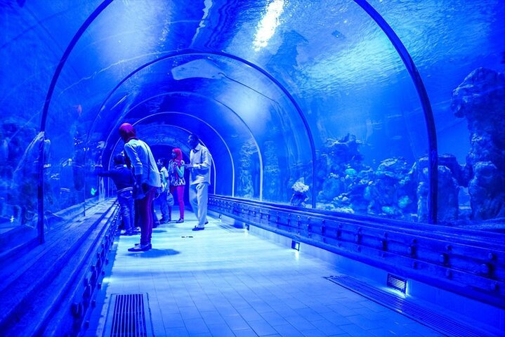 2 Hours Red Sea Wonders Tour at Hurghada Grand Aquarium - Photo 1 of 13