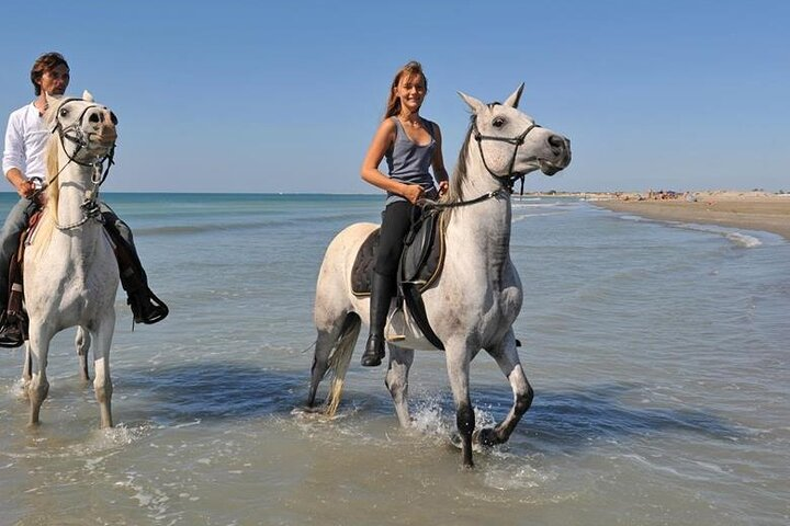 Adventure Safari By Horse In Sharm El Sheikh - Photo 1 of 8