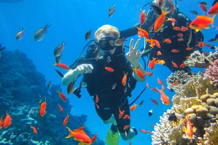 Budget Snorkeling Trip To Giftun Island - Photo 1 of 7