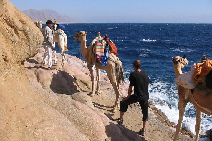 Camel Ridding