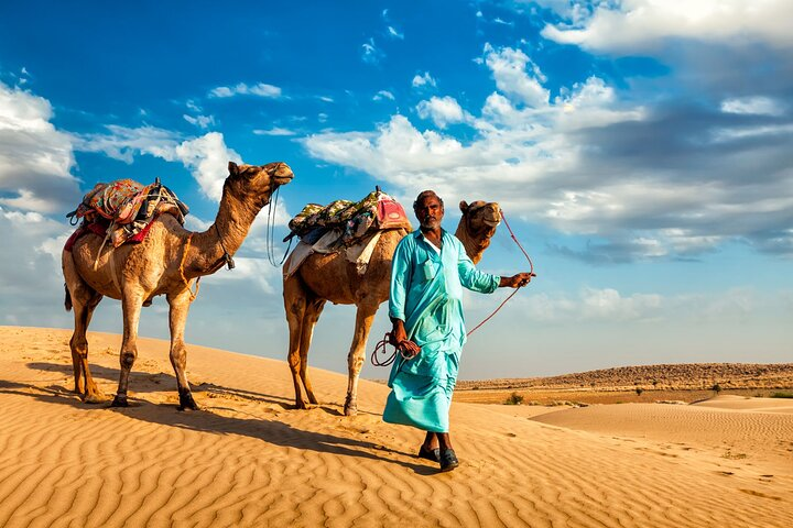 Camel Ride, Bedouin Dinner and Star Gazing in Marsa Alam - Photo 1 of 10