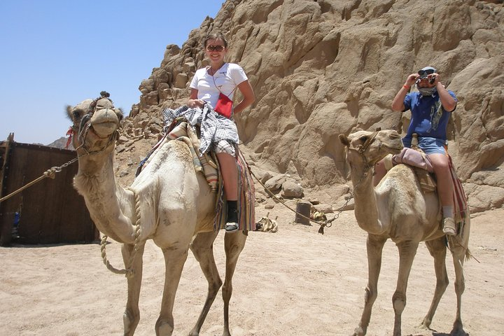 Camel ride in Sharm elsheikh desert - Photo 1 of 3