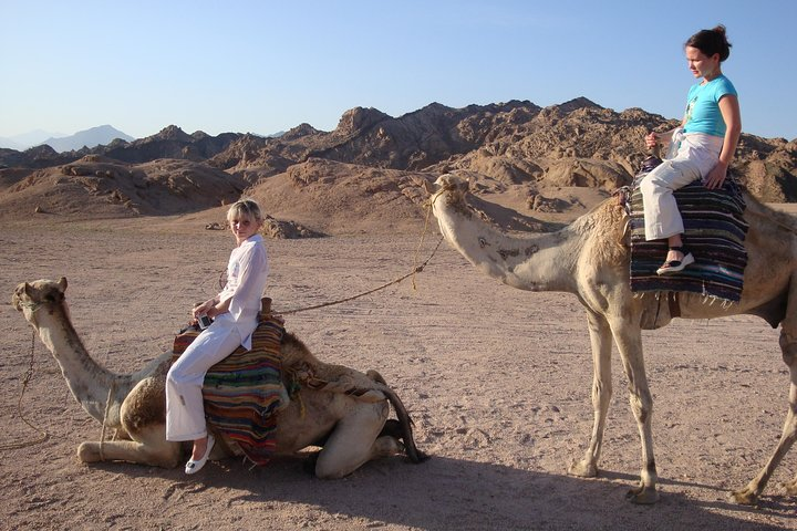 Camel ride