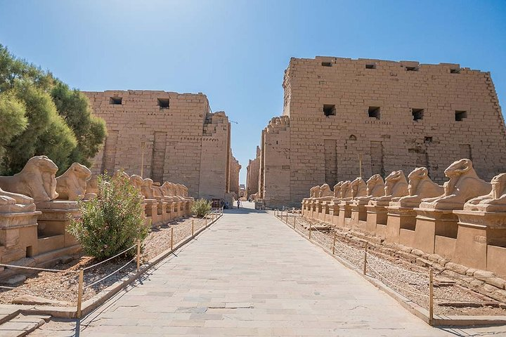 Day Tour to Luxor from Hurghada - Photo 1 of 17