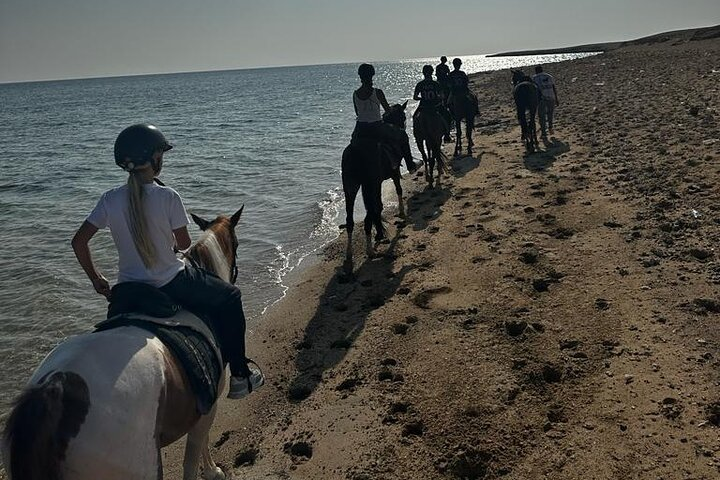 Desert and Sea Horseback Riding With Swimming Marsa Alam - Photo 1 of 6