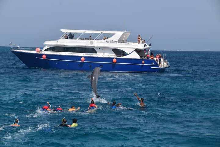 Dolphin House and Banana Boat Fun from Hurghada - Photo 1 of 7