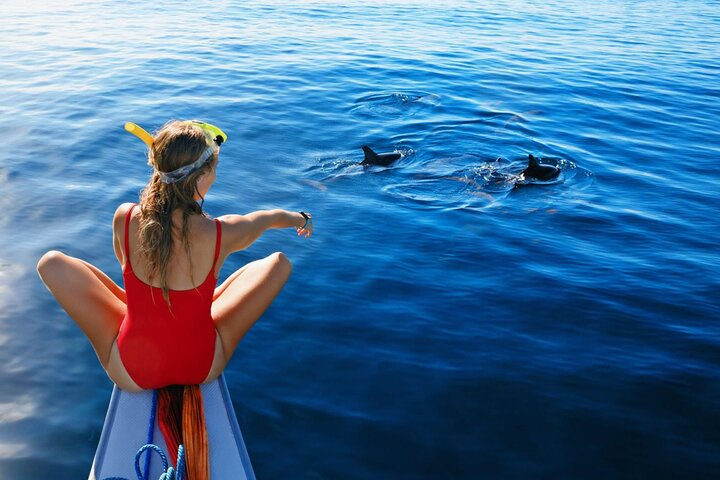 Dolphin House Sea Trip Snorkeling Water Sports and Lunch-Hurghada