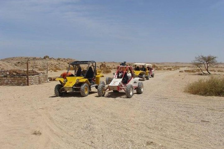 El Gouna Sahara Dune Buggy Morning Adventure - Photo 1 of 3