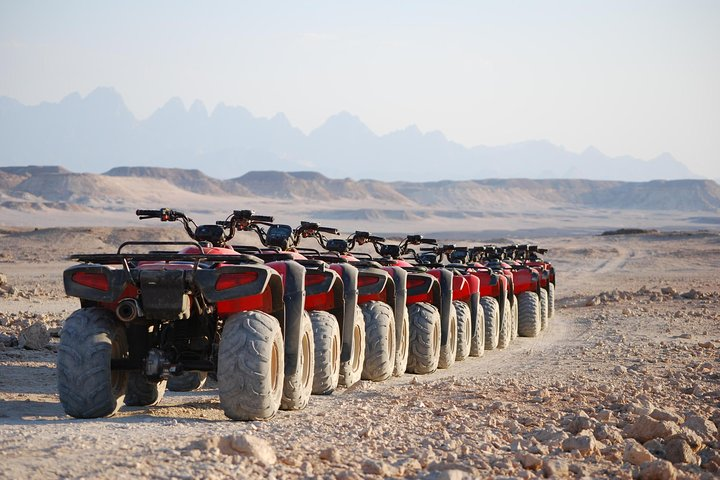 Alex Safari Quad/ Buggy/ Jeep 