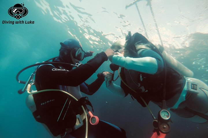 Full day diving with private guide, lunch drinks transportation - Photo 1 of 25