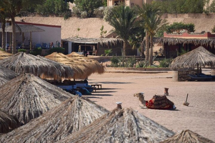 Full day Semi Private Sharm El Naga National Park from Hurghada - Photo 1 of 5