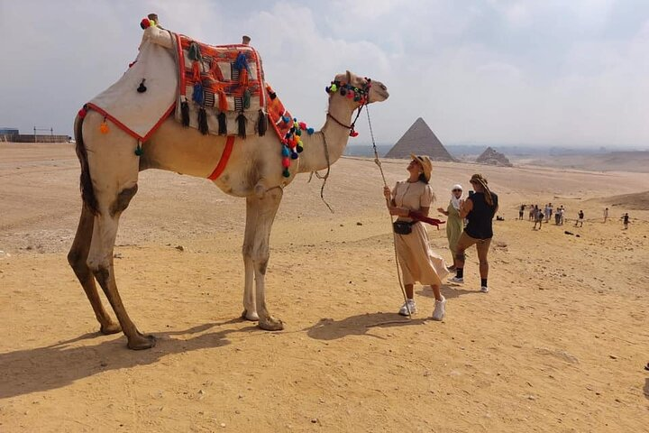 Giza pyramids , sphinx with tour Guide Egyptology & private vehicle - Photo 1 of 17