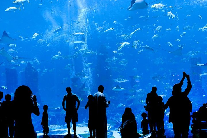  Grand Aquarium