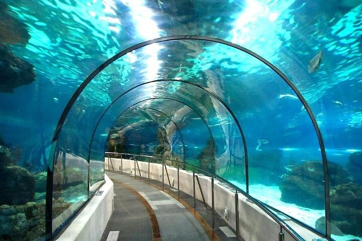 Grand Aquarium with Transfer from Hurghada  - Photo 1 of 4