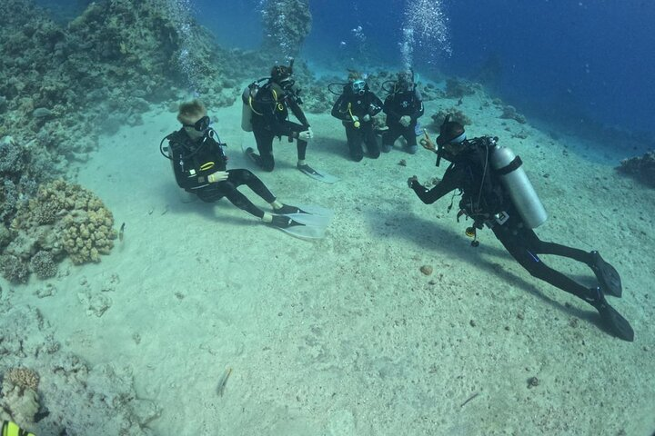 Guided Diving Experience for Padi OW in Red Sea and Sinai - Photo 1 of 9