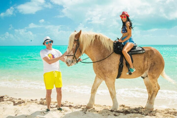 Horse Riding on the beach From Sharm El Sheikh - Photo 1 of 7