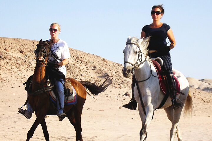 Hurghada Arabian Desert and Sea Horseback Adventure - Photo 1 of 5