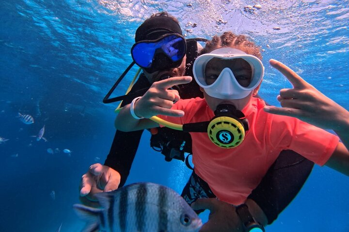 Intro Diving Beginner and Discover Red Sea Underwater - Photo 1 of 9