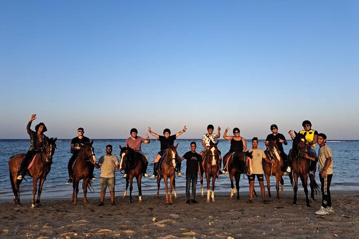 Marsa Alam Sea and Desert Horseback Riding  - Photo 1 of 4