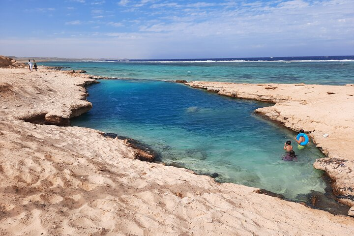 PADI Diving Courses in marsa Alam Open Water Diver Advanced OW  - Photo 1 of 3