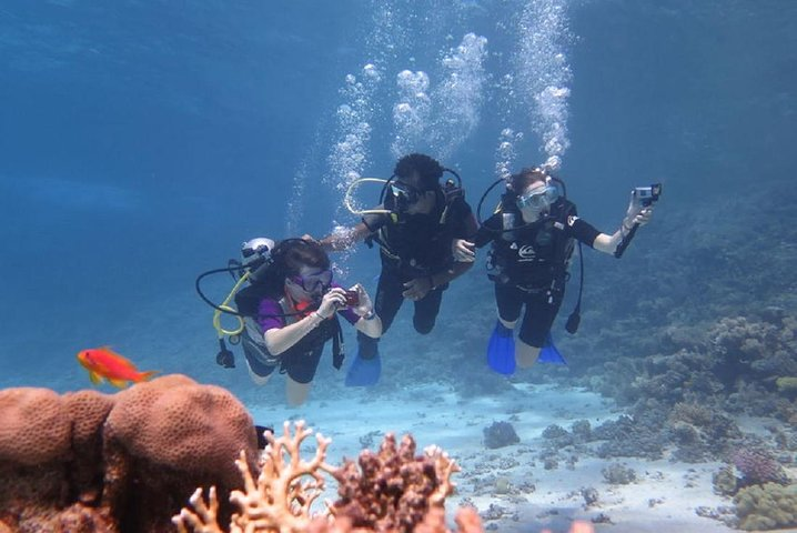 Padi Scuba Diving In Marsa Alam - Photo 1 of 10