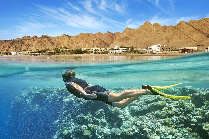 Snorkeling in Port Ghalib, Egypt