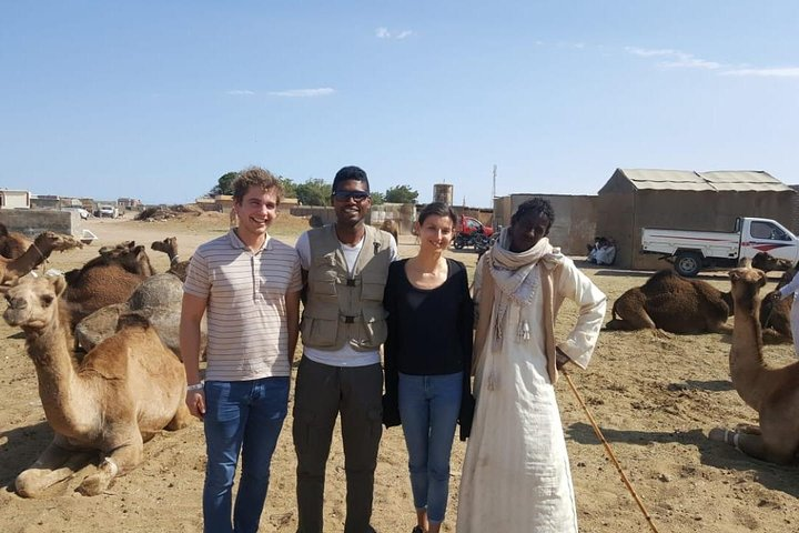 Private Full-Day Shalateen Camel Market Tour from Marsa Alam  - Photo 1 of 11