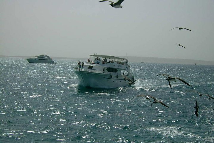 Boat trip