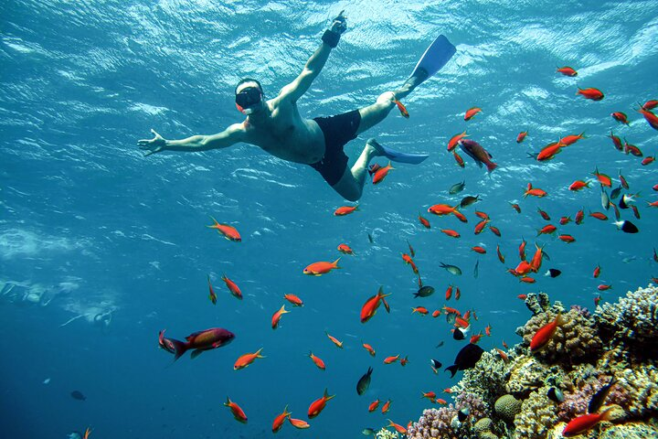 Private Speedboat and Snorkeling Trip to Eden Island - Hurghada - Photo 1 of 13