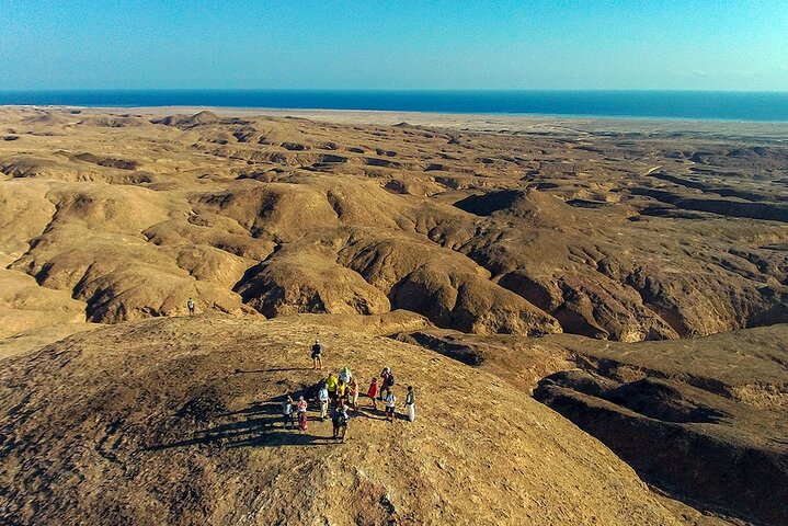  Private Wadi El Gemal Tour from Marsa Alam - Photo 1 of 7