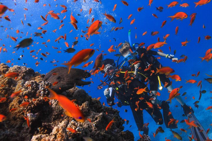 Discover scuba, a safe, exciting and unique experience!