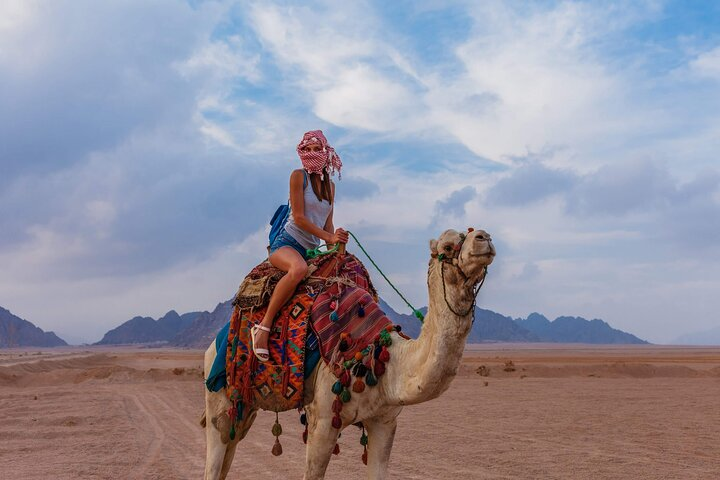  Riding a Camel West of Luxor  - Photo 1 of 6