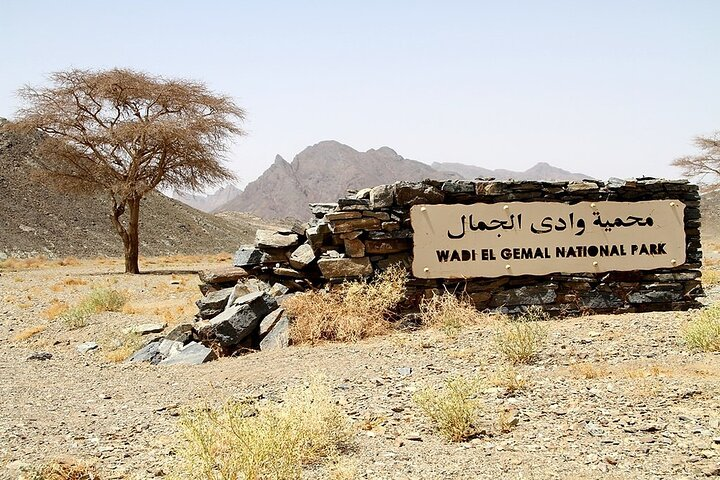 Safari Day Tour To Wadi El Gamal National Park From Marsa Alam - Photo 1 of 6