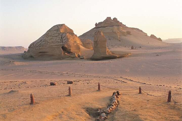 Safari Tour to El Fayoum from Cairo Wadi El Rayan & Wadi Hitan & Sandboarding  - Photo 1 of 17