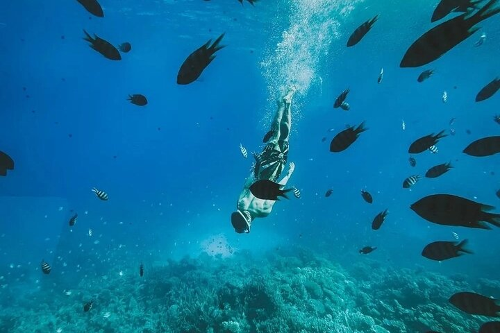 Sataya Dolphin House: Full Day Snorkeling Experience - Photo 1 of 14