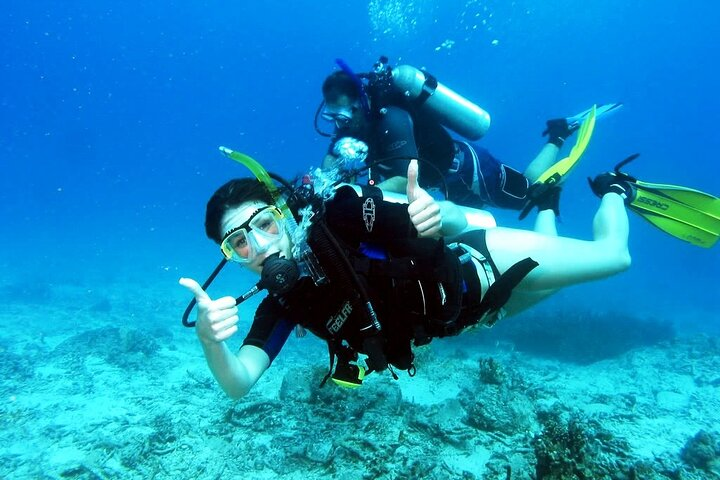 Intro Diving Experience with Lunch and Transfer - Sharm El Sheikh