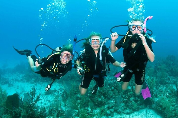 PADI Diving Course Sharm El Sheikh