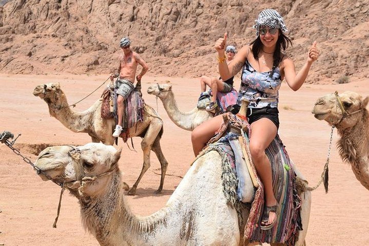 Safari Adventure in Sharm el Sheik 