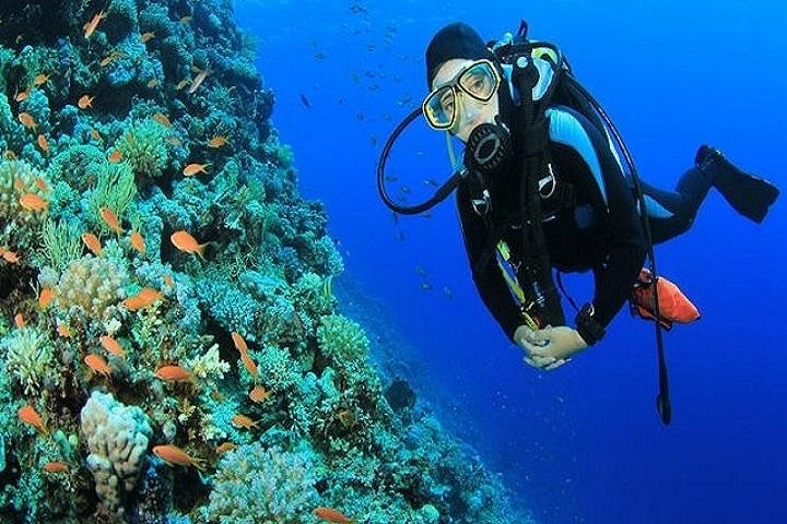 Sharm El-Sheikh: Red Sea Scuba Diving Day Trip - Photo 1 of 2